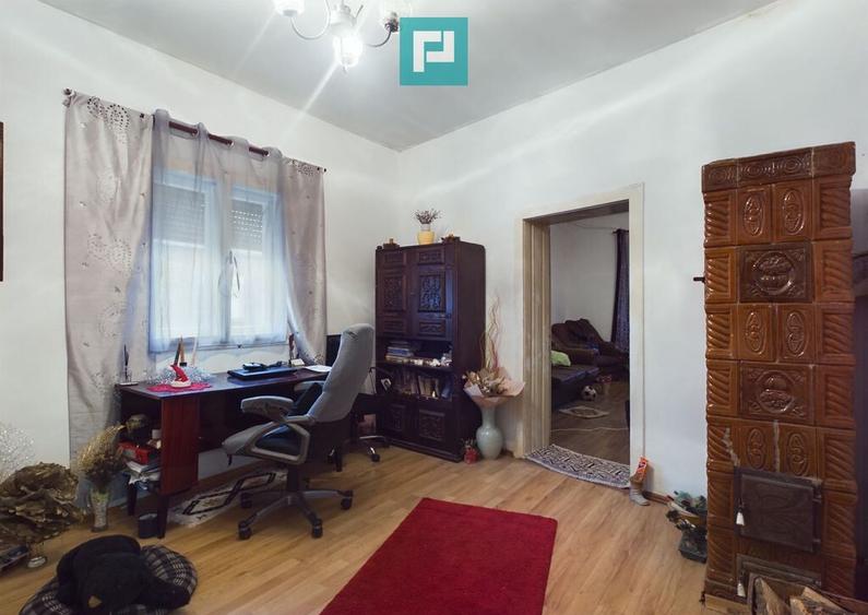 Reziden?a de vis pe Valea Mure?ului la Lala?in? - 13