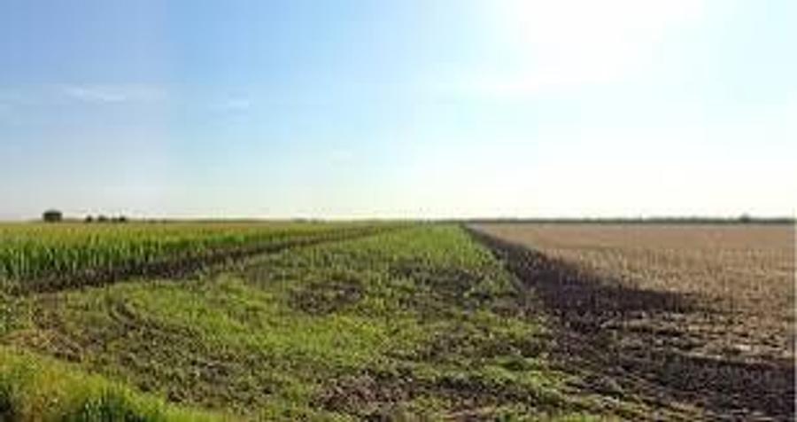 Teren agricol de vanzare - 20.000mp - 2