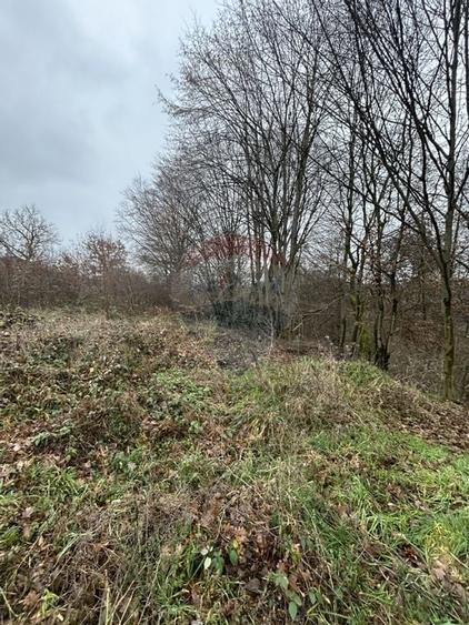 Teren 1,200mp si 400m2 cota drum Satu Nou de Jos / Strada Principala - 7