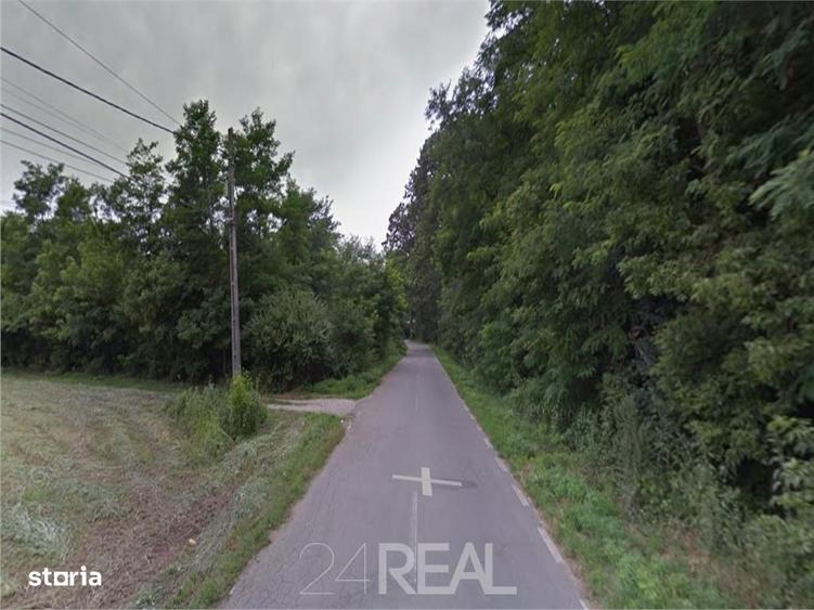 Teren de vanzare in Snagov - 981 mp - 7