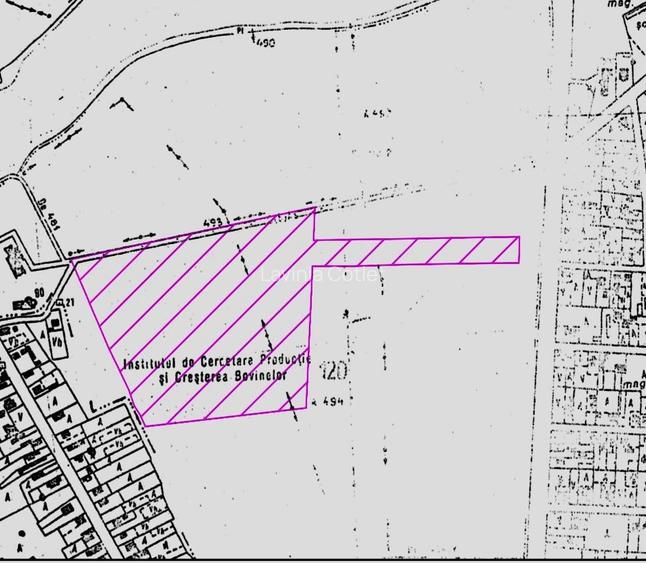 Teren vanzare 8 Ha -  Hornbach Balotesti - drum acces DN1