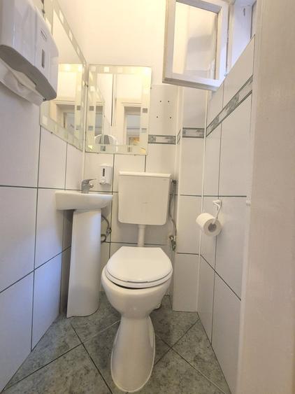 6 camere, P+1, Piata 1 Mai, Parc Kiseleff - 9