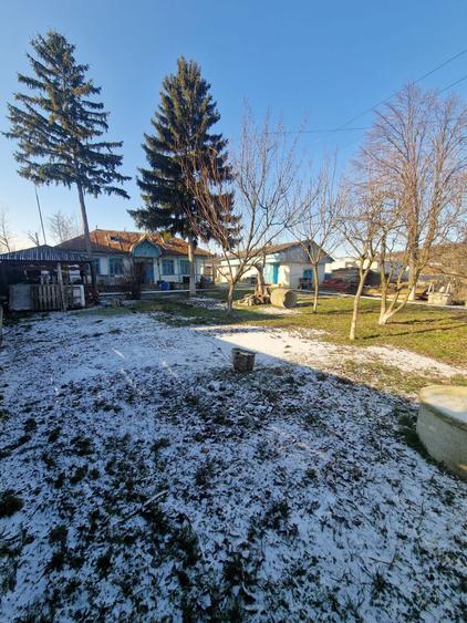 Casa locuibila si teren - 5