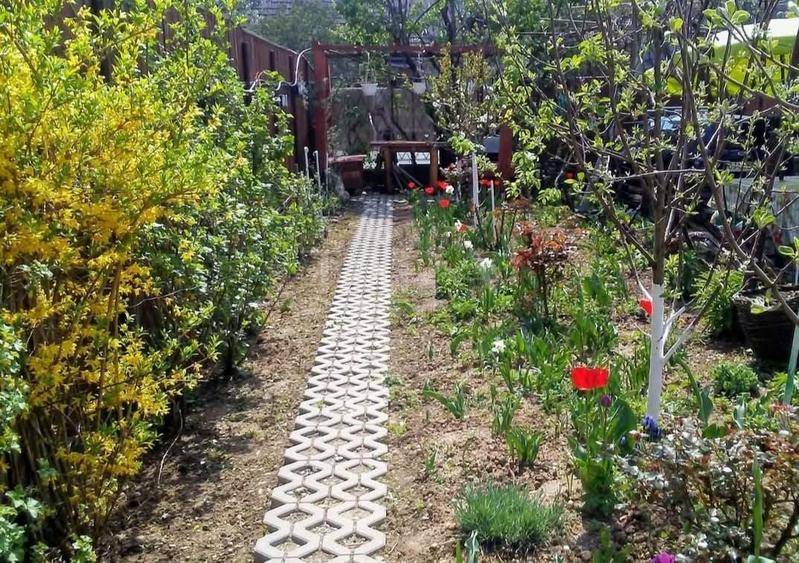 Casă cu două apartamente și teren generos în zona Iulius Mall. - 9