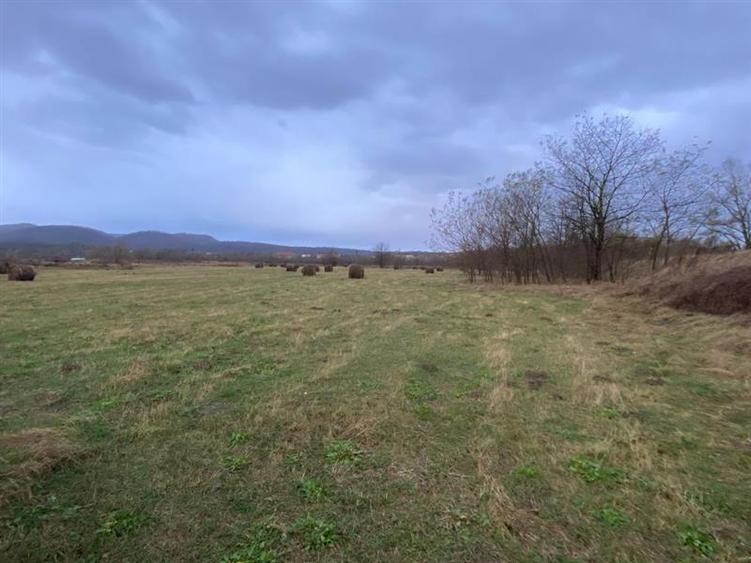 Caransebes, Teren Drept 5087 Mp. Ideal pt Casa 20 Euro Mp. Racovita - 5