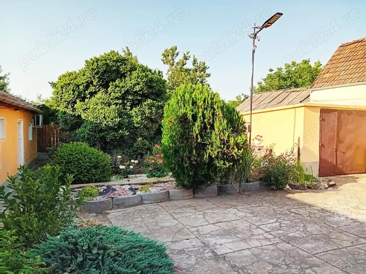 Imobil pe Calea Radnei, potrivit pentru diverse destina?ii St 500 mp - 3