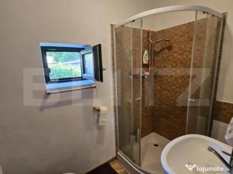 Casa individuala de vanzare in exclusivitate Tomsani - 7