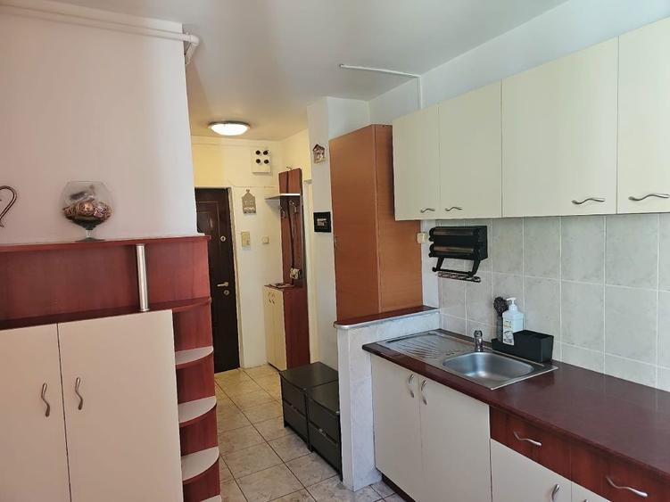 Garsoniera de inchiriat 45 mp pe Paraului 5 - 3