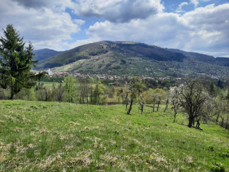 Teren intravil, VD, Prislop, Construcții, Investitie, Prop, Acte ok - 4