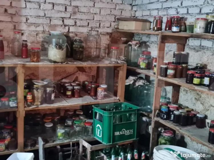 Oportunitate! Casa Bod pe un singur nivel, teren 980 mp pivn - 7