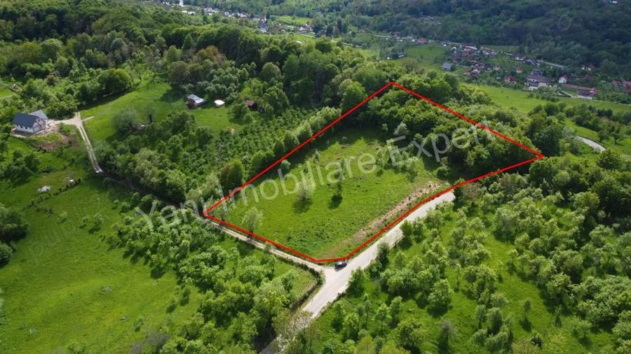 Teren de vanzare in comuna Corbi, jude? Arge?. - 6