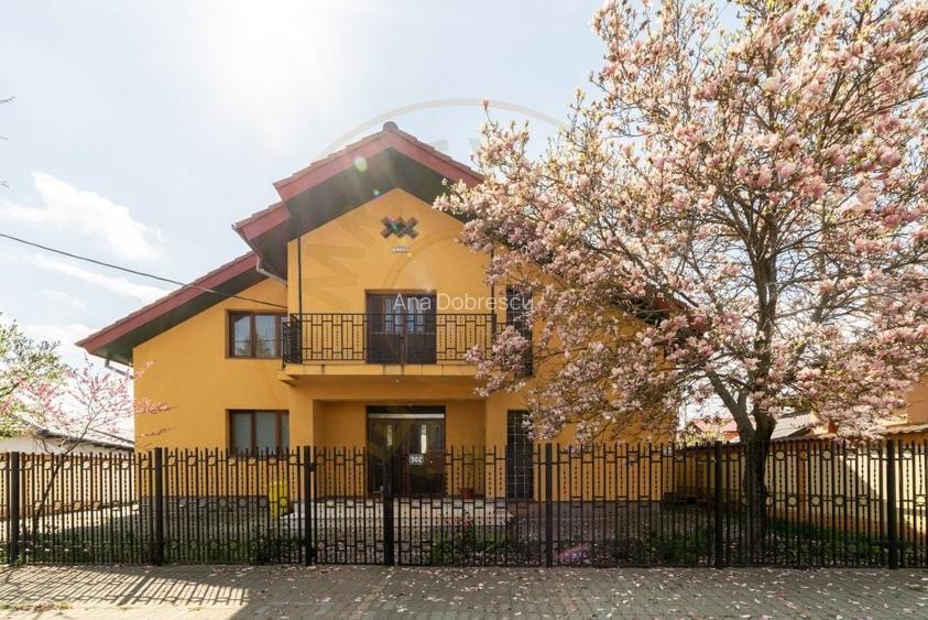 Vila - Piscina - Bradu!