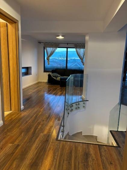 Vila langa lacul Baneasa, parcul Herastrau, zona Nord - 12