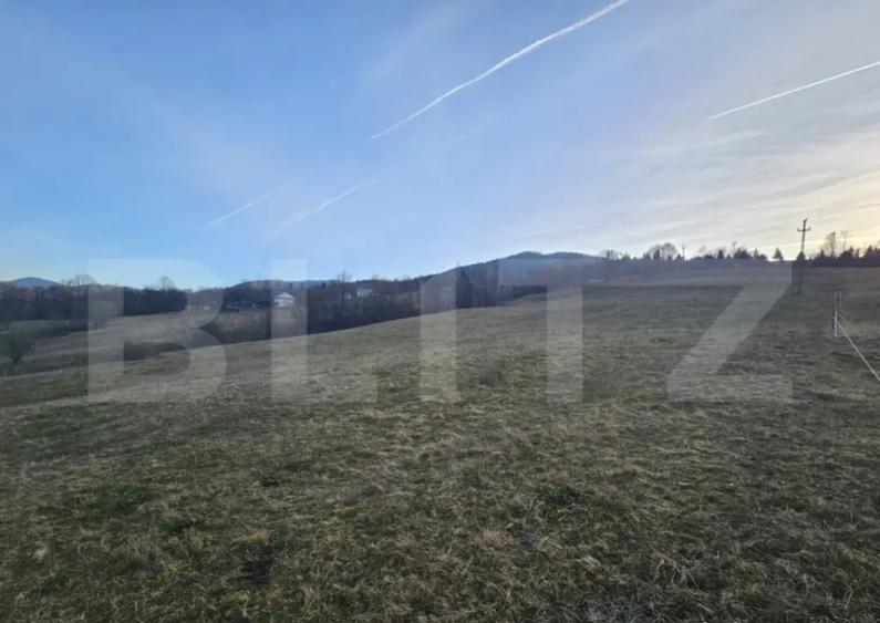 Teren intravilan de 16667 mp, Sosea de Centura, Abrud - 3