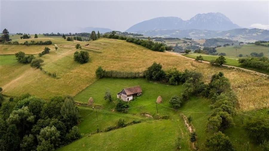 Proprietate + teren 10.400 mp incantoare pozitionare, Poiana Marului, Brasov - 7