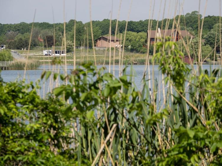 VANZARE DOMENIU CU DESCHIDERE  LA LACUL SNAGOV - 2