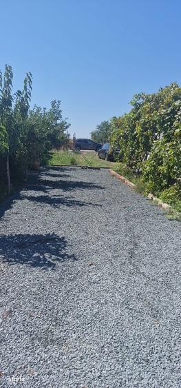 Corbu - Casa de vacanta pe malul Marii Negre - 4 camere - 11