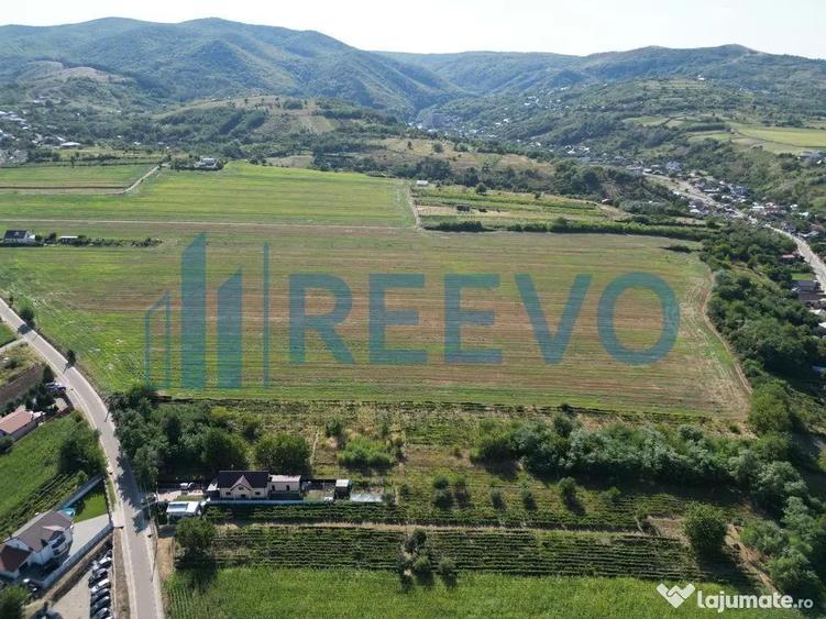 Teren de vanzare, Com. Sarata, Jud. Bacau - 1