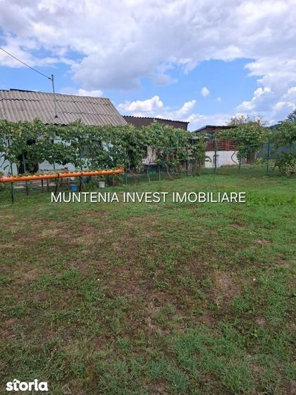 Gospodarie de vanzare Bro?teni | 14 km de Pite?ti | Teren 596 mp. - 2