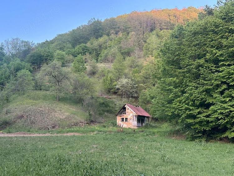 Teren cu casa de vanzare - 6