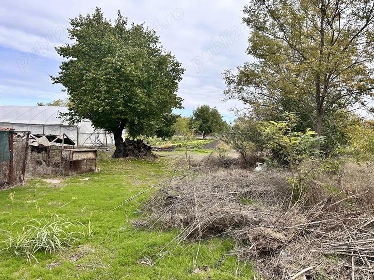 Teren comuna Cuza Voda, Calara?i - 1