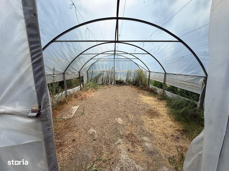 Casa de vanzare cu teren 3750 mp - 11