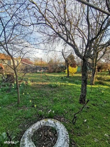 Casa cu teren 1.000 mp in Frumusani, aproape de Bucuresti - 9