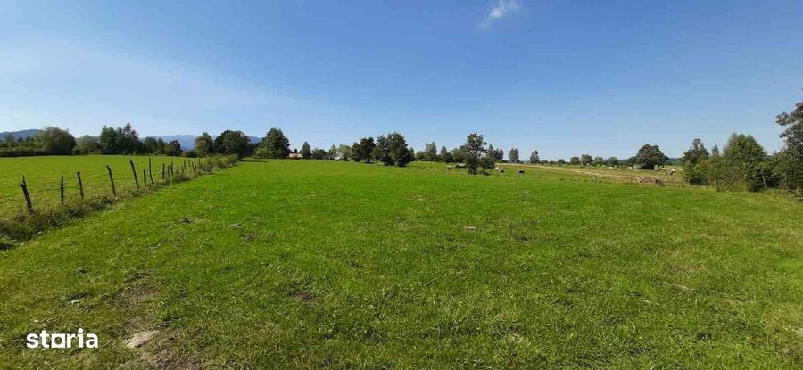 Teren BRAN SOHODOL 9350 mp. - 3