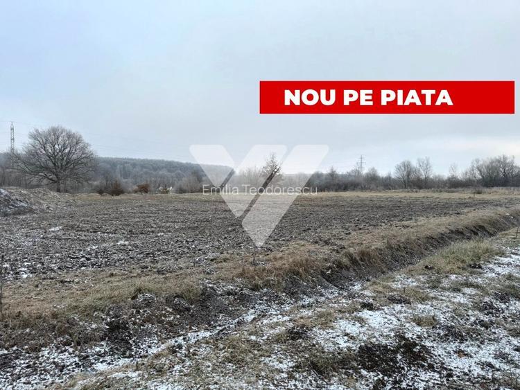 Teren Construcții intravilan de 750 mp, în Șelimbăr