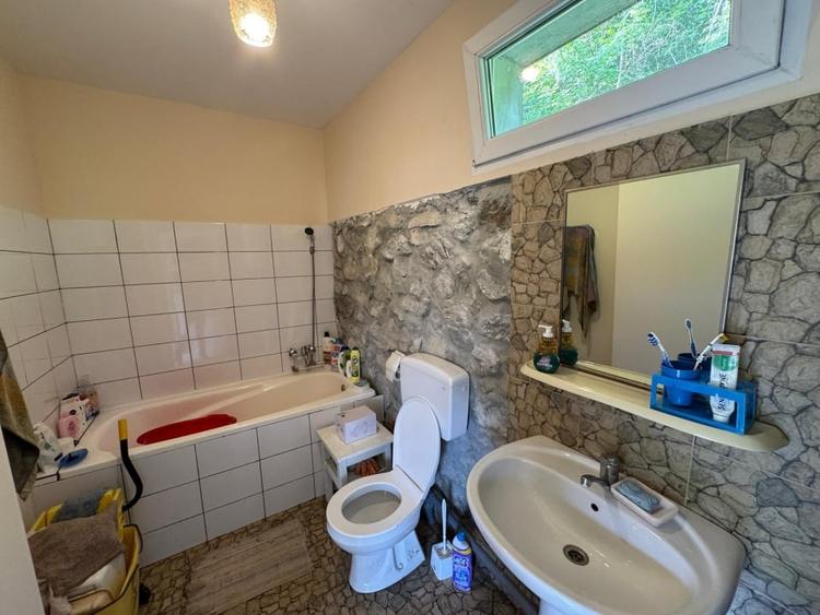 Casa de vanzare, 5 cam., 200 mp. + 5000 mp. teren, Valea Ariesului - 15