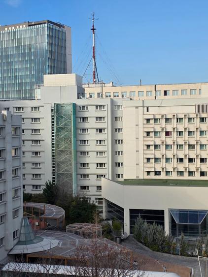 2 camere Sala Palatului - Calea Victoriei 8/9 Bocca Lupo - 1