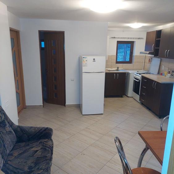 Casă cu 2 camere cu Teren 1200 Mp în Pietrișu