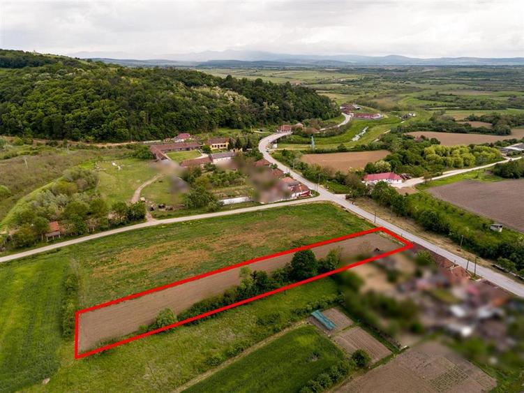 Teren intravilan de 2528 mp, în Holod