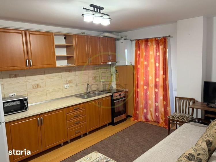Apartament 2 camere de inchiriat-Zona Doamna Stanca - 5