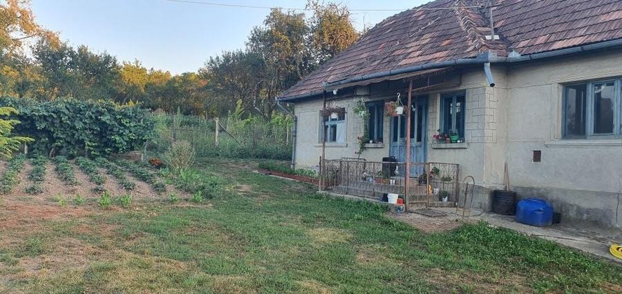 Casă cu 4 camere în Domnin