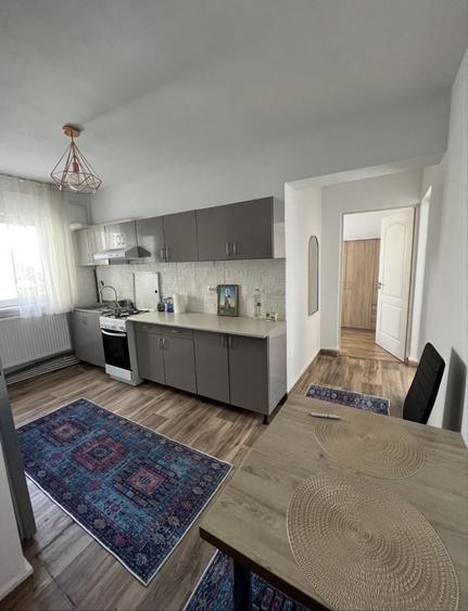 Apartament cu 2 camere în Arcu