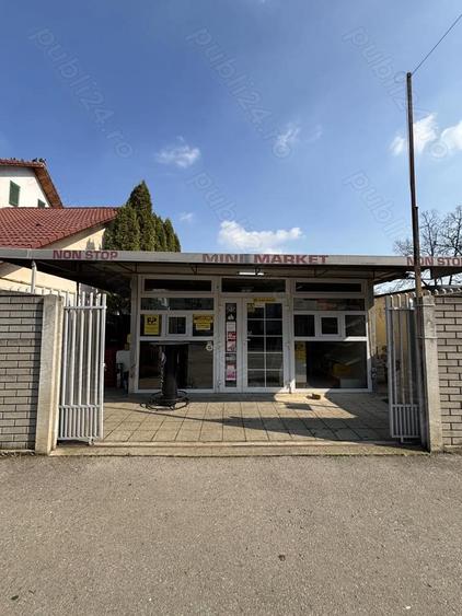 Spatiu comercial + terasa de inchiriat (Zona Girocului, Timisoara) - 8