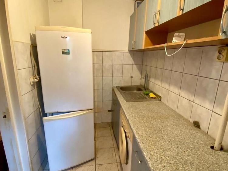 Lacul Tei, langa Facultatea de Constructii - 4