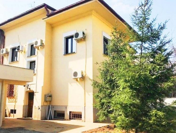 Vila Floreasca - curte compacta, garaj auto - 4