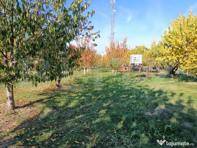 Teren Intravilan 3325 mp Magurele Prahova , Oportunitate ! - 1