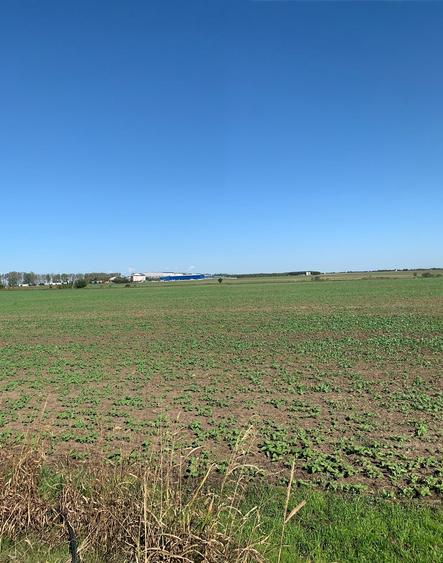 Afumati  Vanzare Teren Extravilan  Suprafata  12,8 HA (3eur/mp) - 1