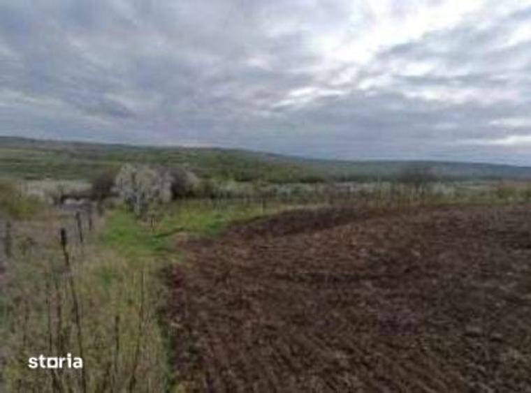 Teren intravilan Comarna, ID: R3075287 - 6