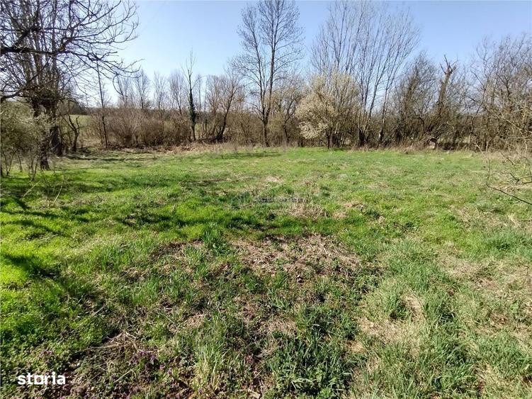 Rachitova, Casa 8 Incaperi, 3800mp Teren, Pret Negociabil - 19