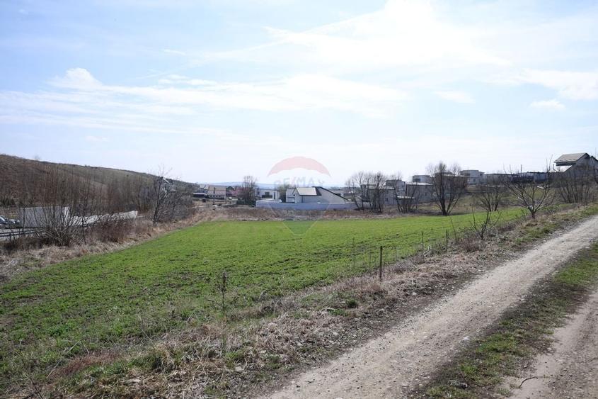 Teren 3,500mp Moara / Strada Pprincipala - 1