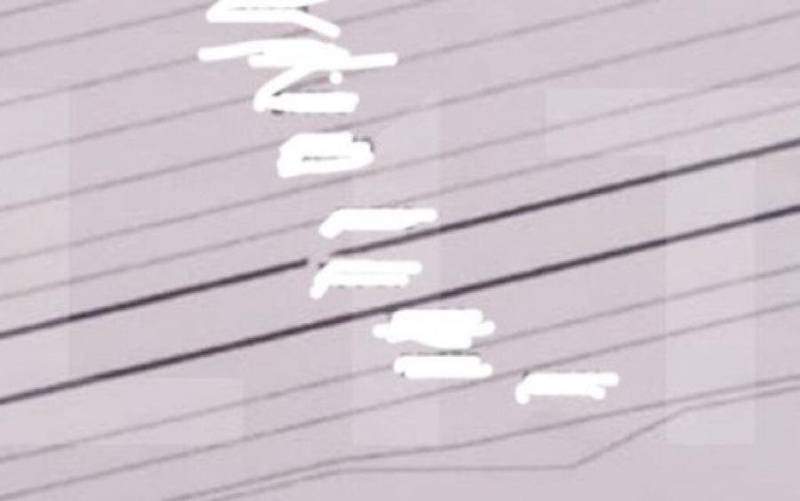 Teren extravilan 12.800 mp Carcea, zona Viaduct, ideal inv - 2