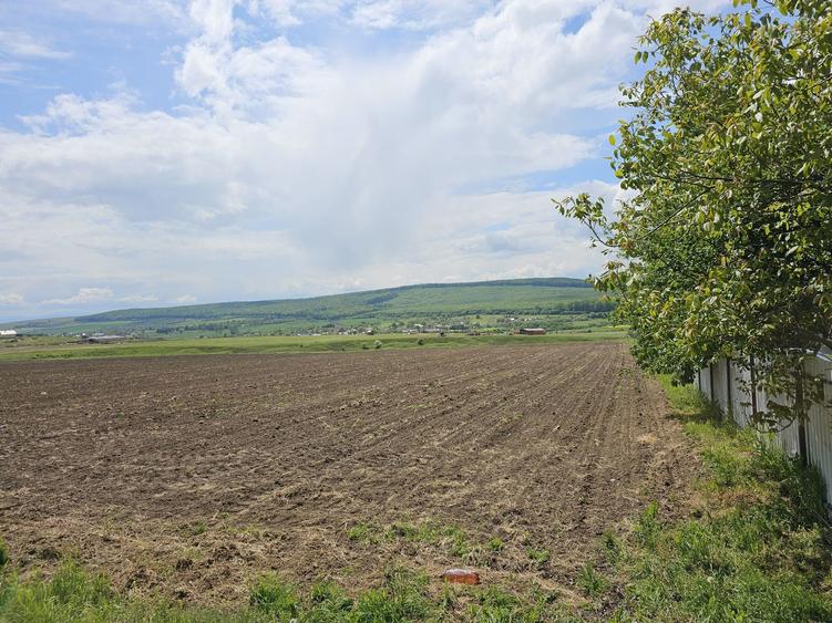 Vand 55,5 ari teren in Mitocu Dragomirnei - 2