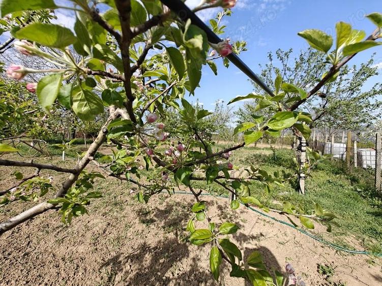 Casa si teren Faraoani la 15 min de Bacau - 7
