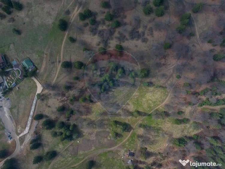 Teren Poiana Brasov, langa Stana turistica 1872mp, PUZ ca... - 9