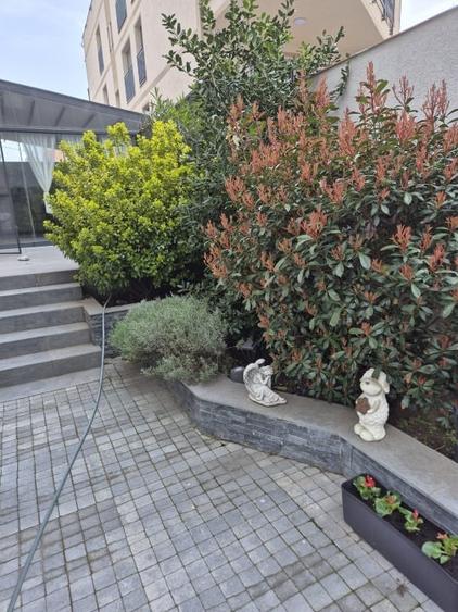 Casa cu 3 apartamente P+3 , zona Barbu Vacarescu - 13