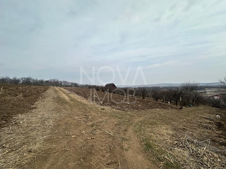 Teren de vanzare in Ocna Sibiului – Locatie premium langa lacurile sarate - 2